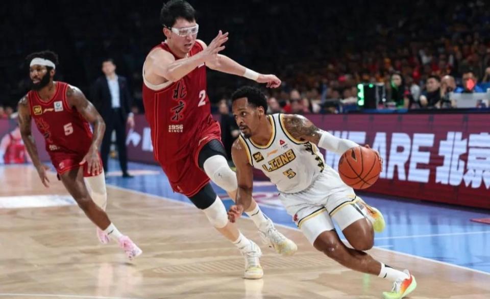 新引进的桑 新引进的桑