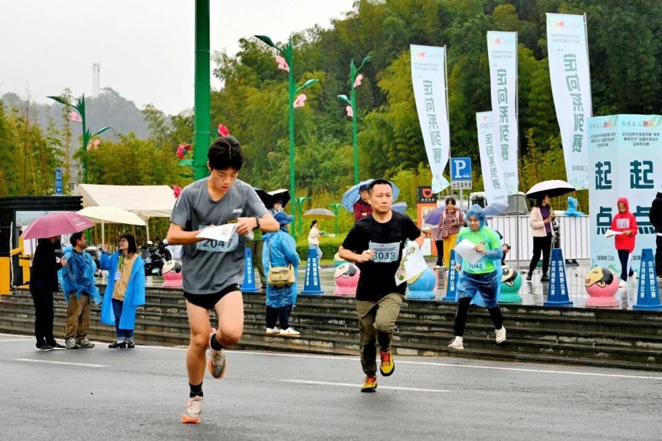 文旅益阳编 文旅益阳编