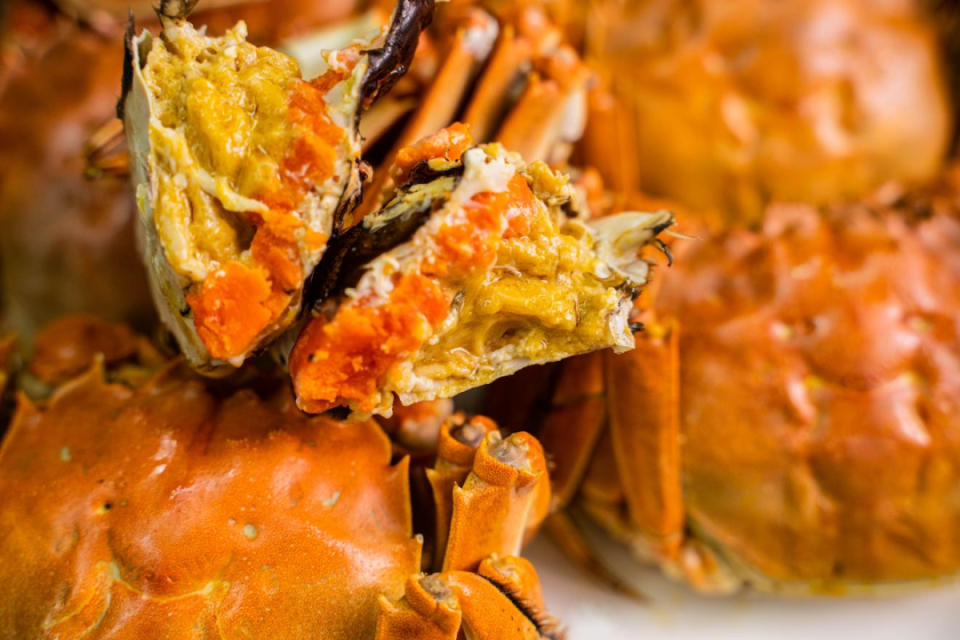 EgU, gtimg, src EgU, gtimg, src